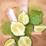 FREEDOM Discovery Layering Sampler Set