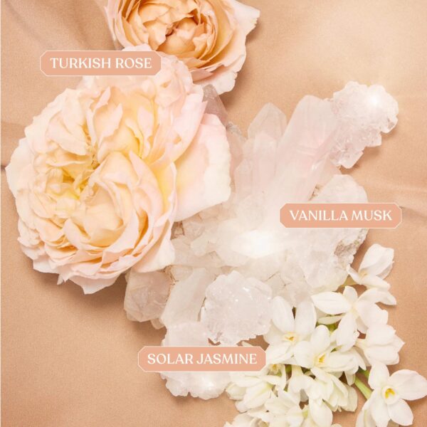 FREEDOM Discovery Layering Sampler Set