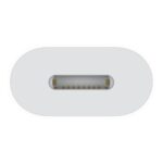 Apple USB-C To Lightning Adapter White